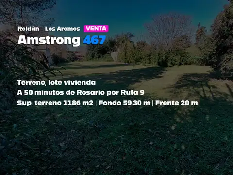 Amstrong 467