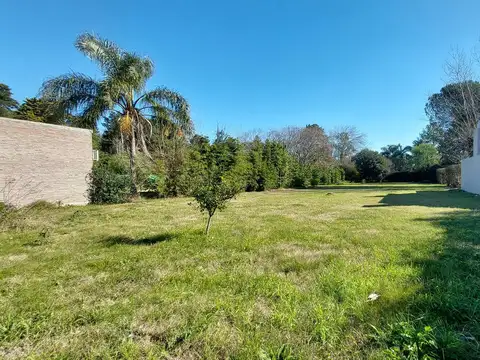 Terreno en Venta 59  mts Fondo