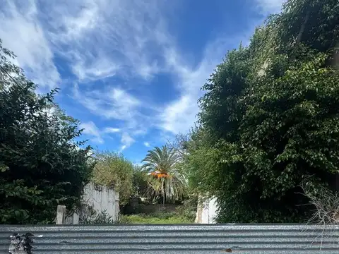 Terreno en Venta de 300,0 m2