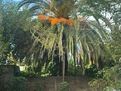 Terreno en Venta 30  mts Fondo