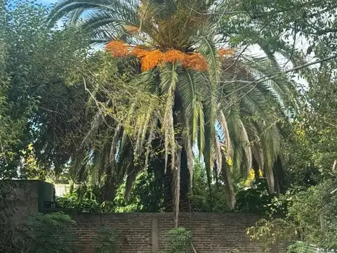 Terreno en Venta 30  mts Fondo