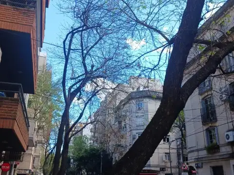 Departamento en Alquiler de Monoambiente