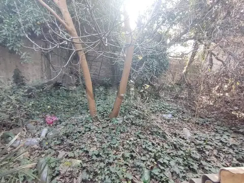 Terreno en Venta de 320,0 m2