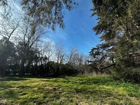 Terreno en Venta 88  mts Fondo