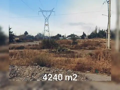 Lote 4.240m2 pegado Acceso Este. COQUIMBITO MAIPU