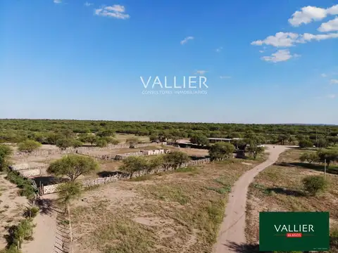 Terreno Campo  en Venta en Chepes, Rosario Vera Peñaloza, La Rioja
