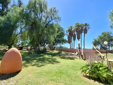 Chañar 700