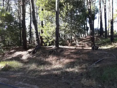 Terreno en Venta en Pinamar, USD 110.000