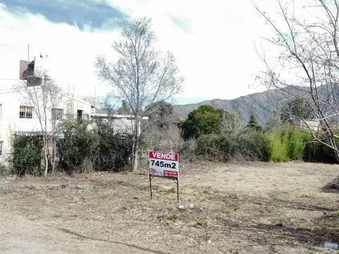 LAS HIGUERAS 100