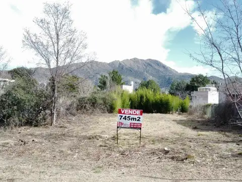 Lote | LAS HIGUERAS