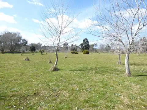 403 e/ 139 y 141   "La Catalina"