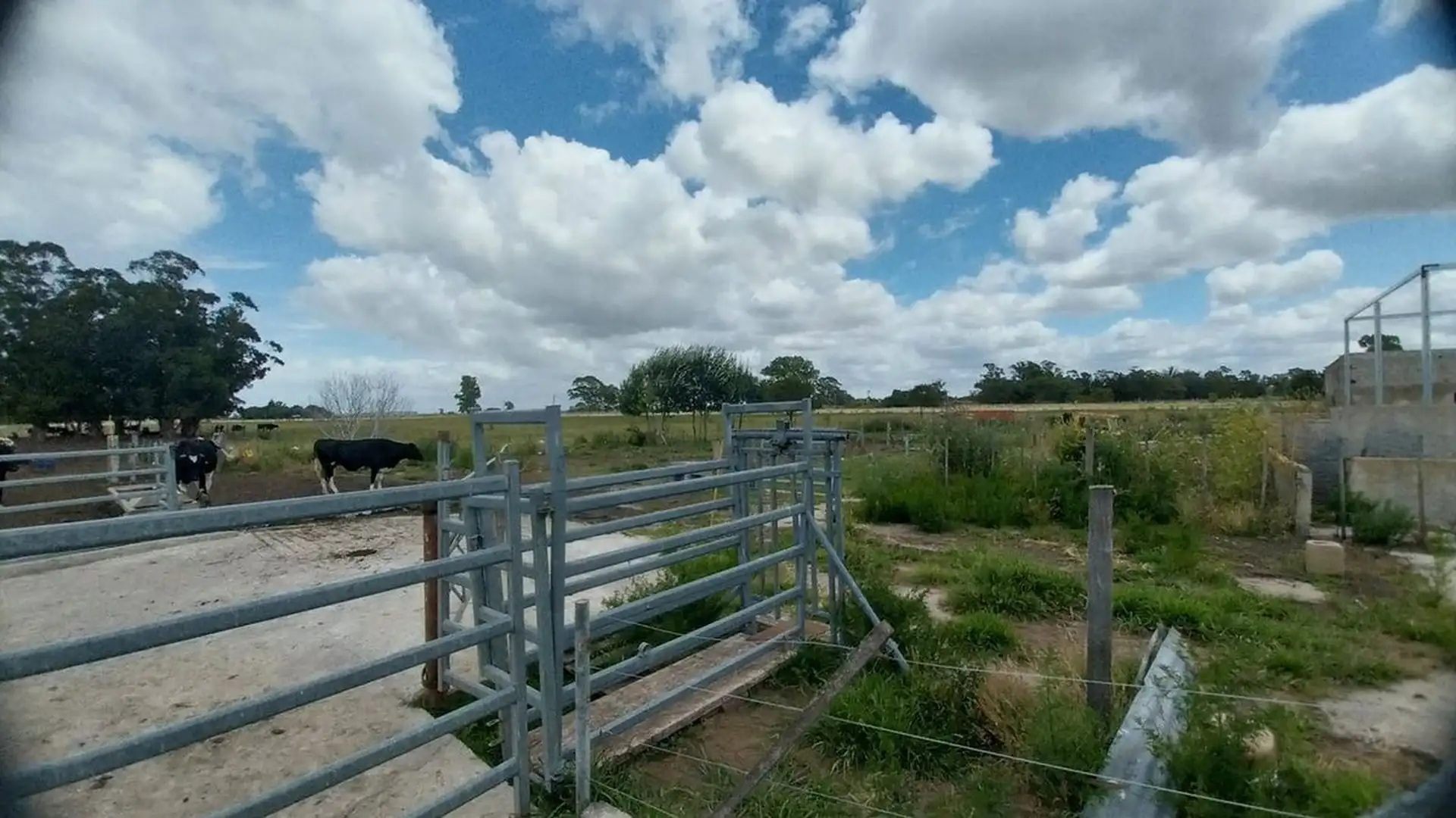 Venta de Campo de 11 hectáreas en El Casal