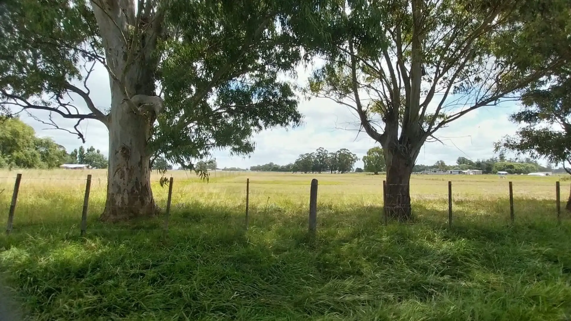 Venta de Campo de 11 hectáreas en El Casal