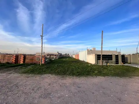 Isla Carceco e/ Islas Cook e Islas Cámaras