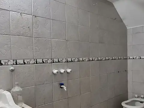 Galpon en Alquiler 17  mts Fondo