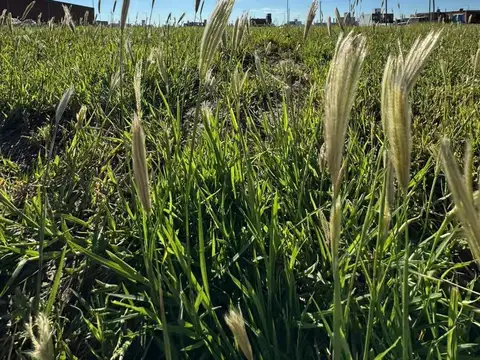 Vendo lote en Campos de Manantiales