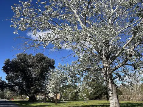 Terreno en Venta 78  mts Fondo