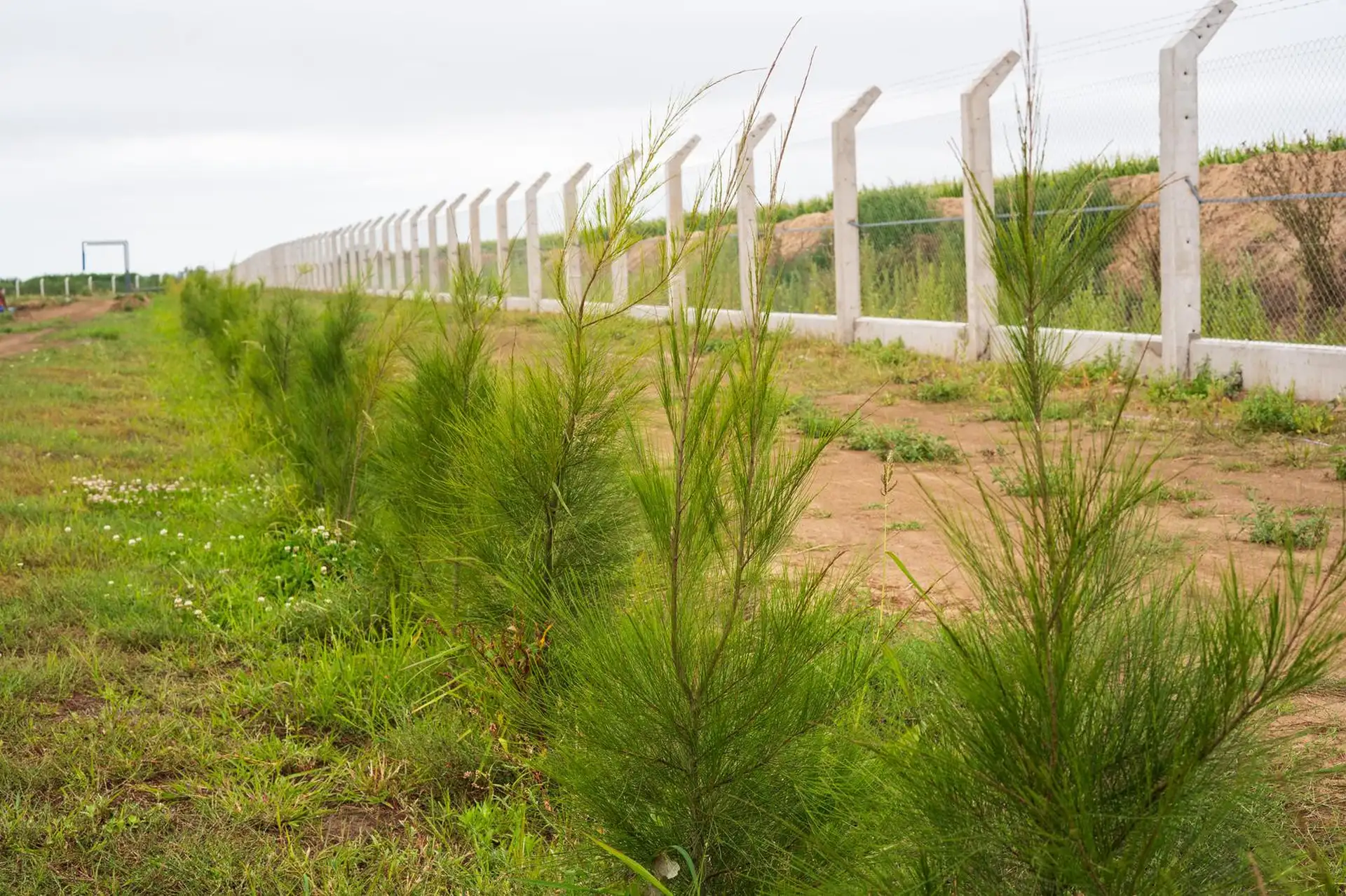 Lote en parque industrial Aurel Parq