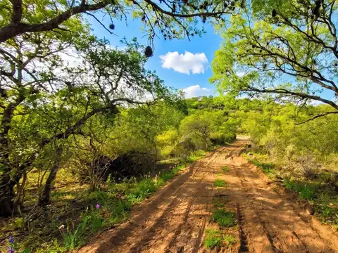Terreno en Venta de 113179,0 m2
