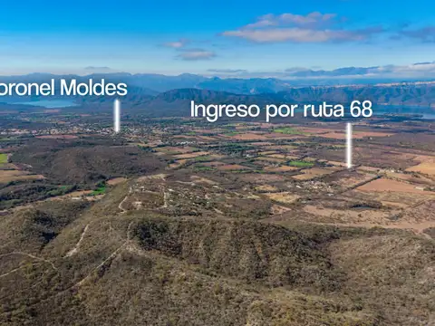 VENTA 11 HECTAREAS CORONEL MOLDES