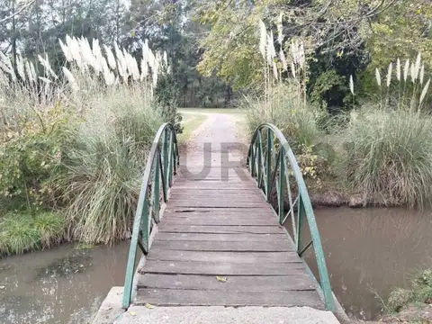 Terreno en Venta 40  mts Fondo