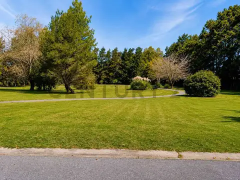 Terreno en Venta 40  mts Fondo