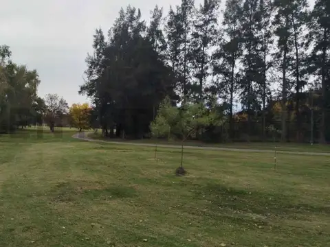 UF 66 , Piso 0