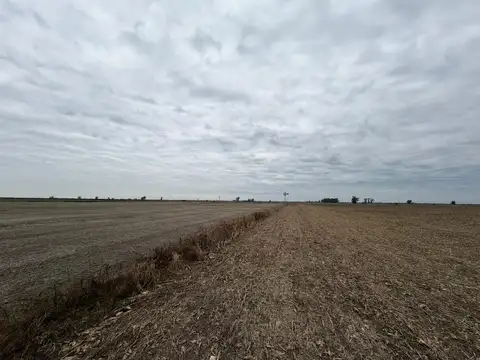 Zona Rural Ramona 72 has agricolas.