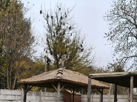 Quinta en Venta 15 años