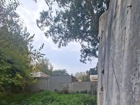 mateo blanco 100