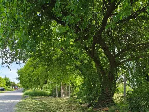 Terrenos y Lotes en Venta en Los Hornos [Cod: 2863-7442763]