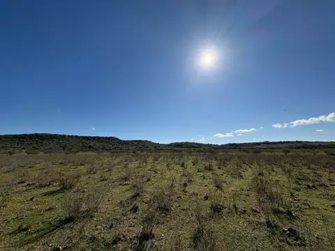 VENTA CAMPO TACUAREMBÓ 243 HECTAREAS