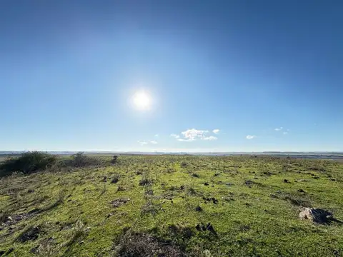 VENTA CAMPO TACUAREMBÓ 243 HECTAREAS
