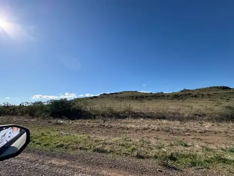 VENTA CAMPO TACUAREMBÓ 243 HECTAREAS