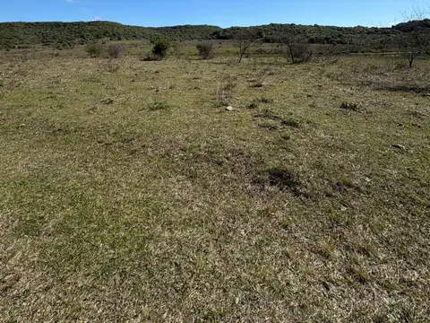 VENTA CAMPO TACUAREMBÓ 243 HECTAREAS