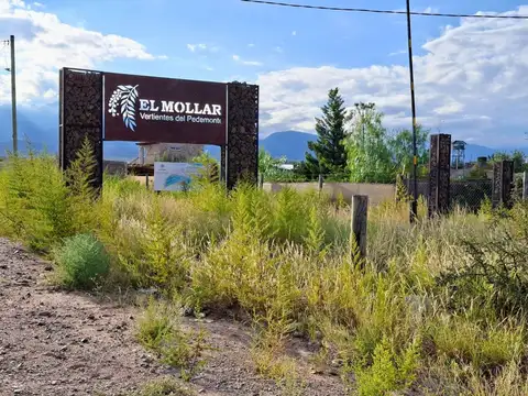 VENTA LOTE CON PILETA Y CISTERNA B° EL MOLLAR
