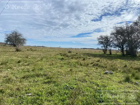 Campo en venta de 720 has en Gral Madariaga