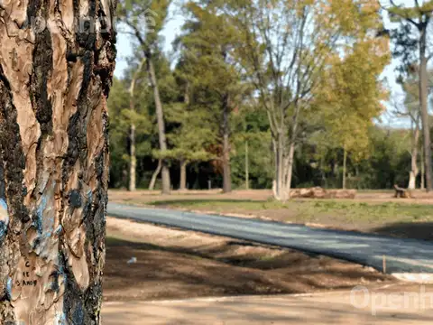 VENTA-LOTES EN BARRIO EL REMANSO-DEL VISO