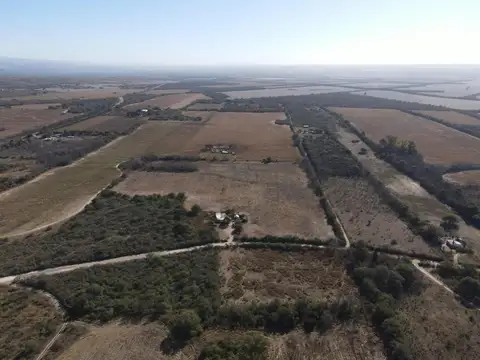 CAMPO EN VENTA  1 y 1/2 hectarea Jose de la Quintana