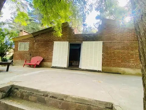 Hermano Crisóstomo 100