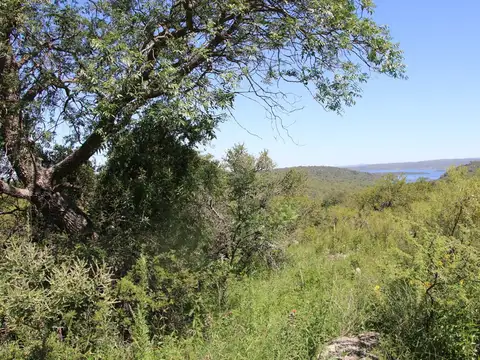 Campo en Venta de 10  ha