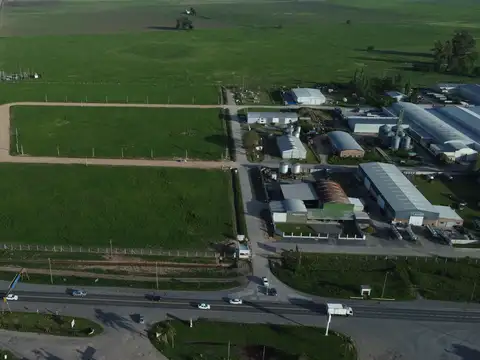 Suipacha, provincia de buenos aires 100