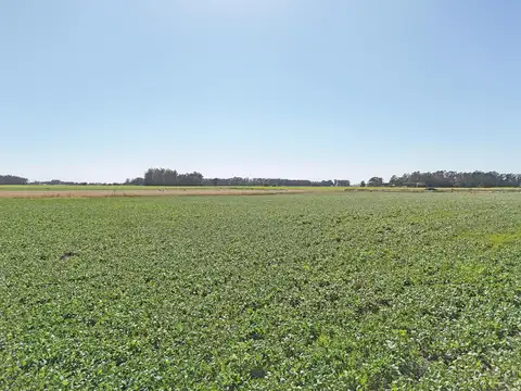 Miramar 15,3