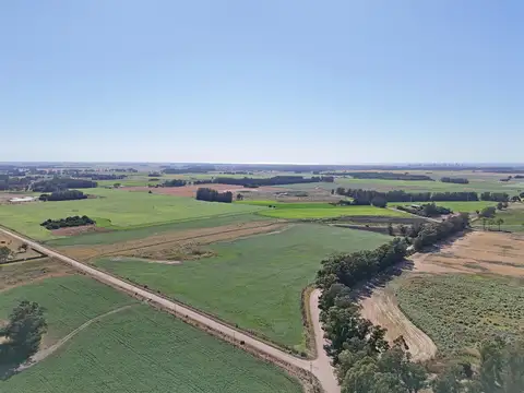 Miramar 15,3