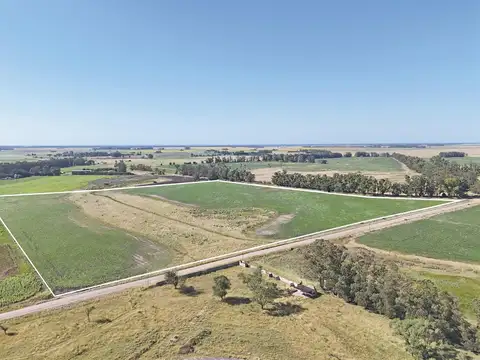 General Alvarado 15.3 has