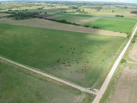 Fracción 49,5 Ha, muy completa!