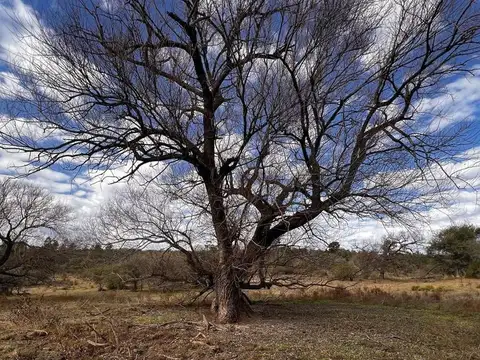  VENTA CAMPO A METROS DE CERRO PELADO