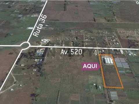 calle 185 entre 520 y 526 , Piso 0