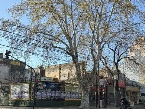 TERRENO PARA EDIFICAR  1000 m2