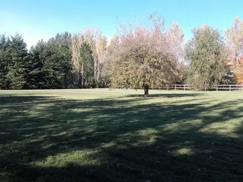 Terreno en Venta de 5006,0 m2